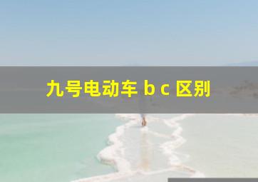 九号电动车 b c 区别